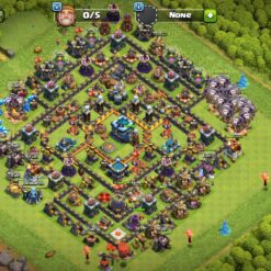 Town-Hall-13-Home-village