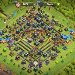 Town Hall 14 Level 202 Main Base
