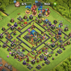 Town Hall 12 Level 187 Change Name